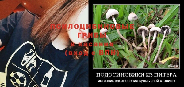 спиды Алексин